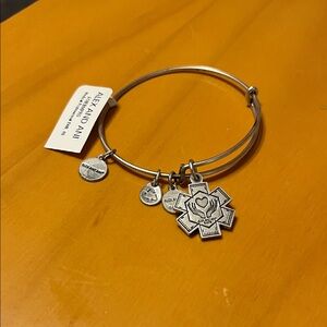Alex and Ani Silver Doctor/Nurse Charm Bracelet